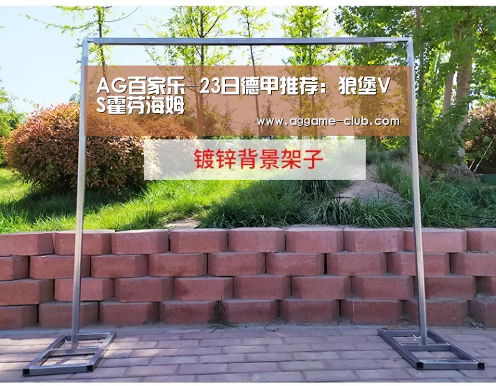 AG电竞