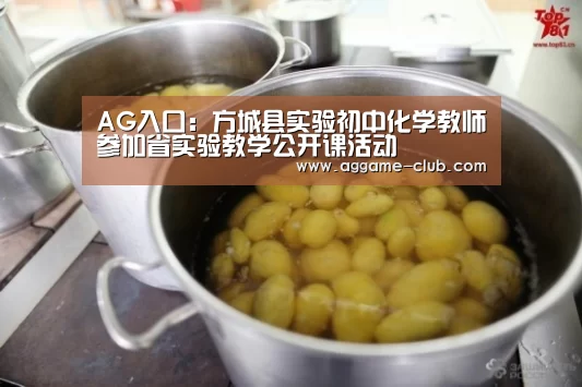 AG入口:方城县实验初中化学教师参加省实验教学公开课活动(图2) AG电竞