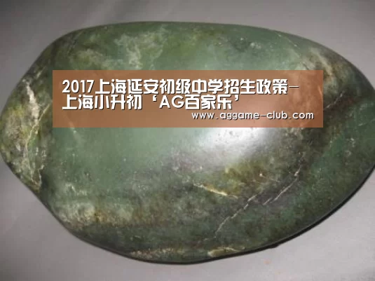 2017上海延安初级中学招生政策-上海小升初‘AG百家乐’(图1) AG电竞