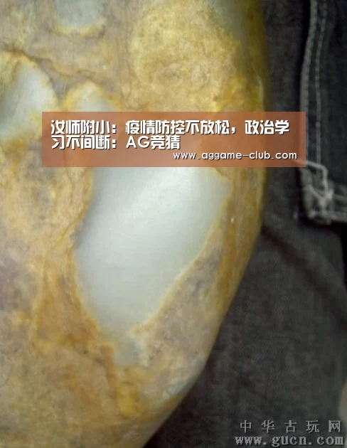 汝师附小:疫情防控不放松,政治学习不间断:AG竞猜(图2) AG百家乐